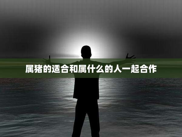 属猪的适合和属什么的人一起合作