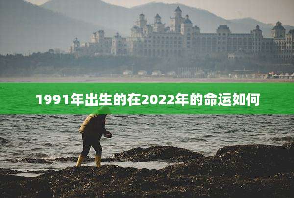 1991年出生的在2022年的命运如何