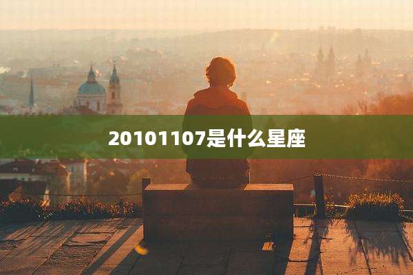 20101107是什么星座