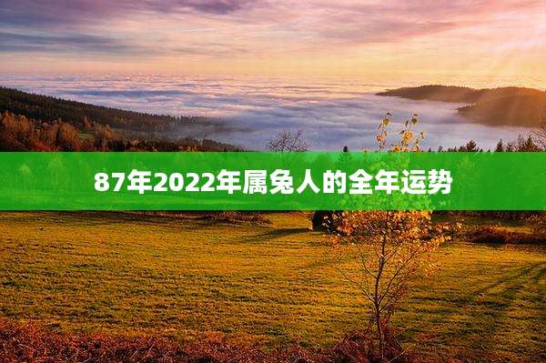 87年2022年属兔人的全年运势