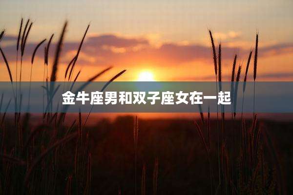 金牛座男和双子座女在一起