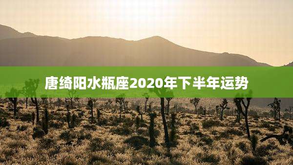 唐绮阳水瓶座2020年下半年运势