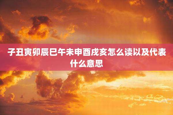 子丑寅卯辰巳午未申酉戌亥怎么读以及代表什么意思