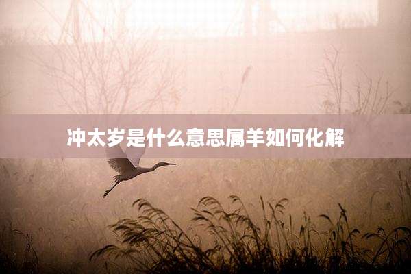 冲太岁是什么意思属羊如何化解