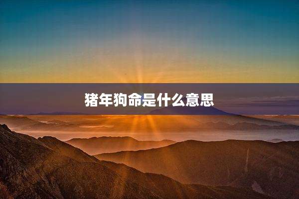 猪年狗命是什么意思