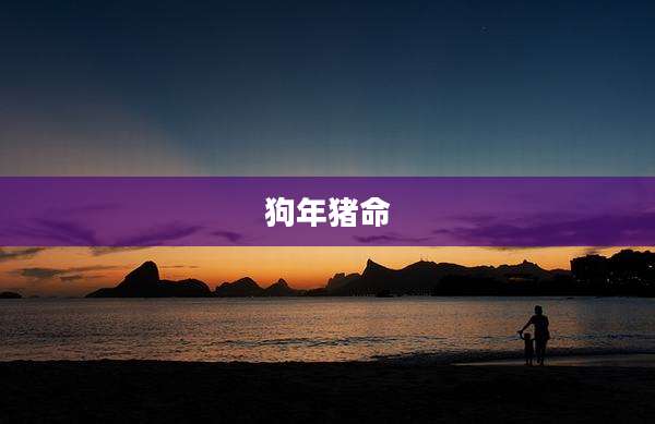 狗年猪命