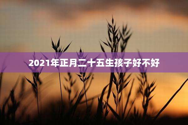 2021年正月二十五生孩子好不好