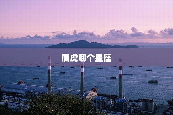 属虎哪个星座