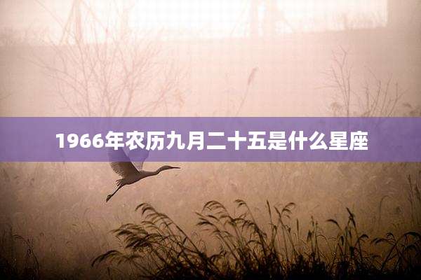 1966年农历九月二十五是什么星座