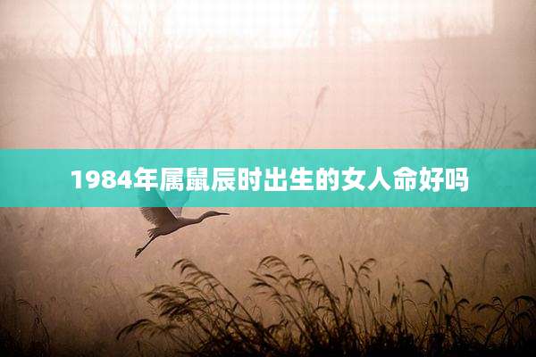 1984年属鼠辰时出生的女人命好吗