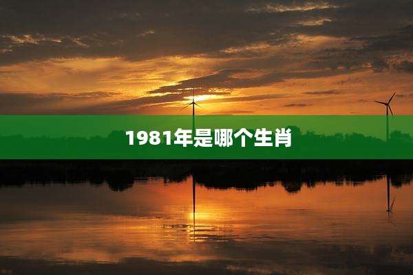 1981年是哪个生肖