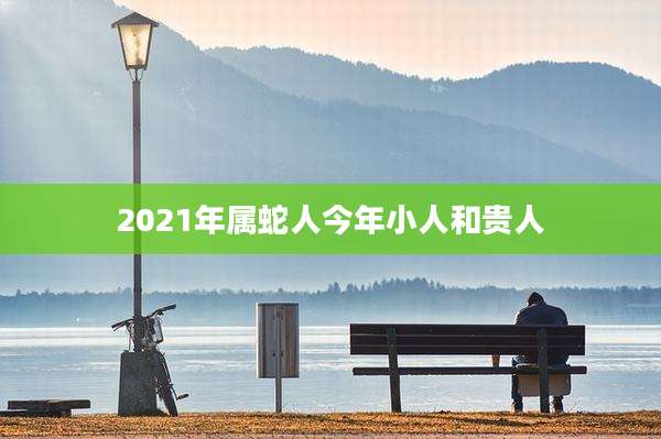 2021年属蛇人今年小人和贵人