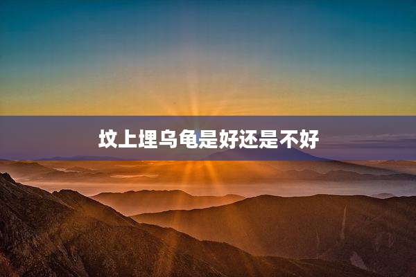坟上埋乌龟是好还是不好