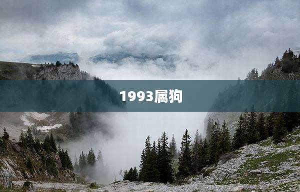 1993属狗