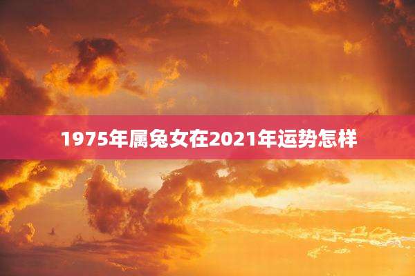 1975年属兔女在2021年运势怎样