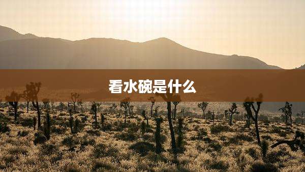 看水碗是什么