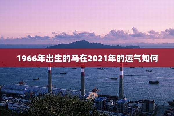 1966年出生的马在2021年的运气如何
