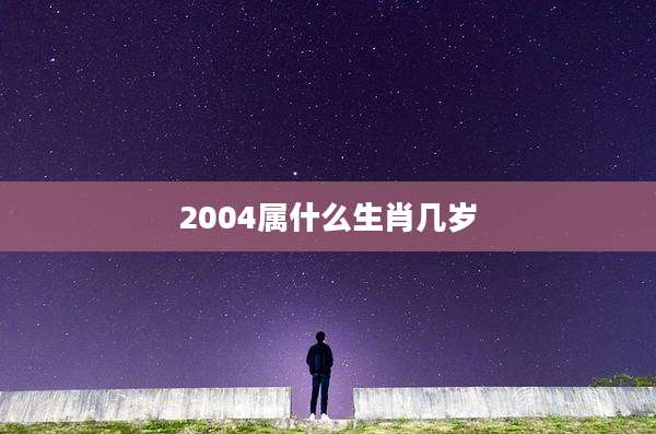 2004属什么生肖几岁