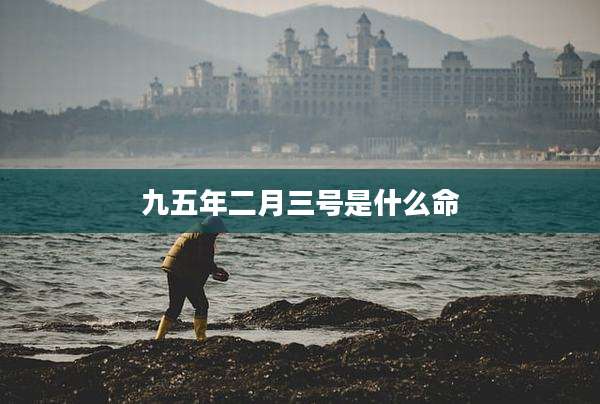 九五年二月三号是什么命