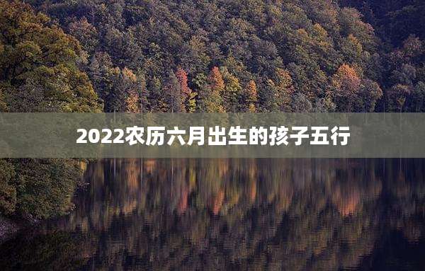 2022农历六月出生的孩子五行