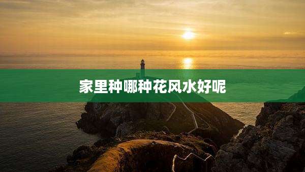 家里种哪种花风水好呢