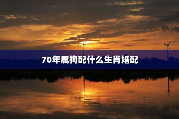 70年属狗配什么生肖婚配