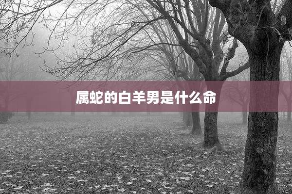属蛇的白羊男是什么命