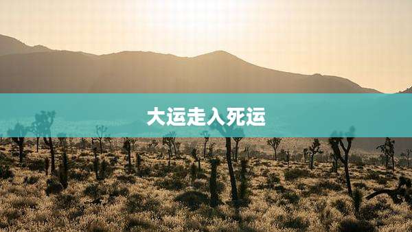 大运走入死运
