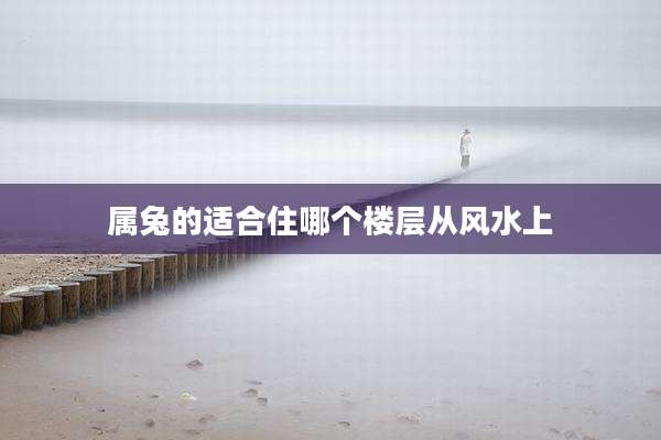 属兔的适合住哪个楼层从风水上