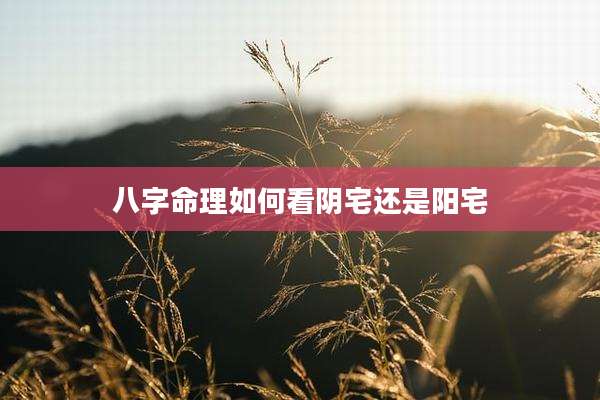 八字命理如何看阴宅还是阳宅