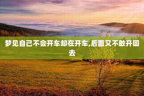 梦见自己不会开车却在开车,后面又不敢开回去