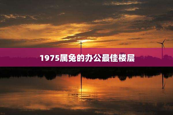 1975属兔的办公最佳楼层