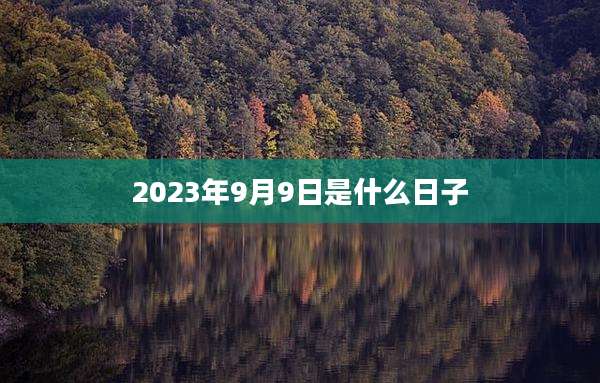 2023年9月9日是什么日子