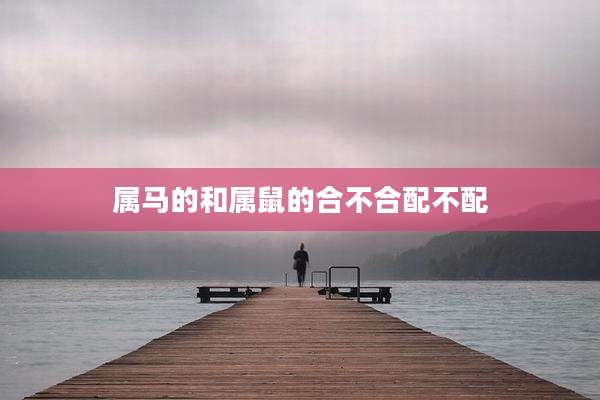 属马的和属鼠的合不合配不配