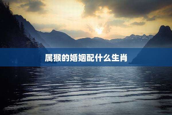 属猴的婚姻配什么生肖