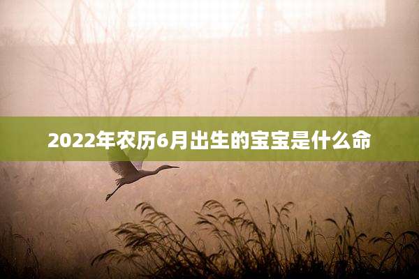 2022年农历6月出生的宝宝是什么命