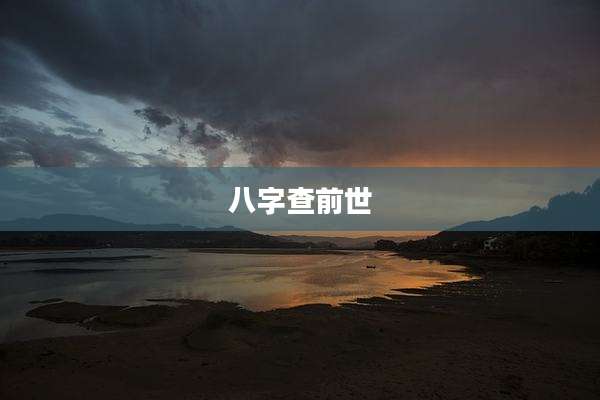 八字查前世