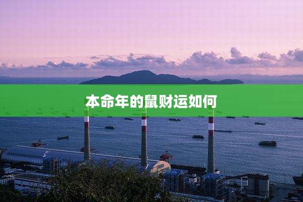 本命年的鼠财运如何