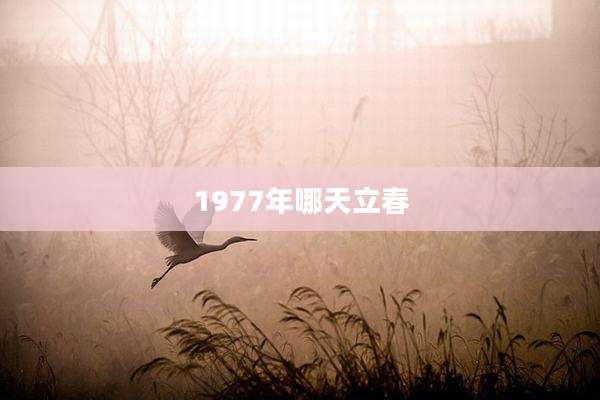 1977年哪天立春