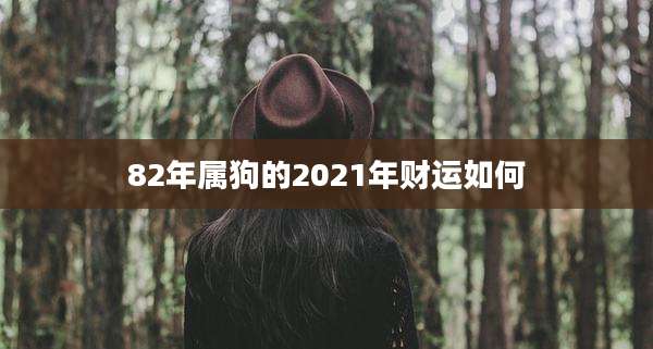 82年属狗的2021年财运如何