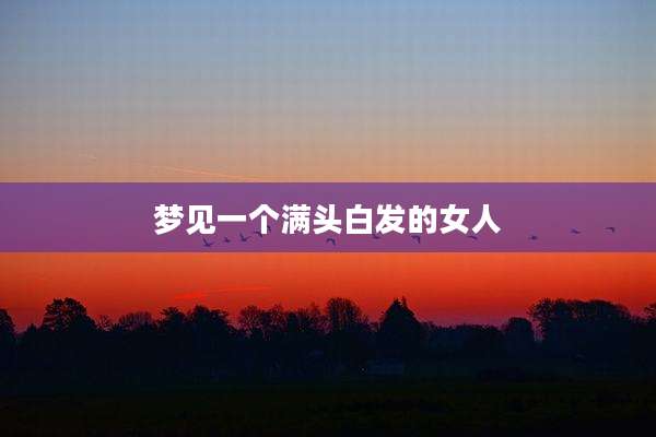 梦见一个满头白发的女人
