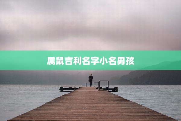 属鼠吉利名字小名男孩