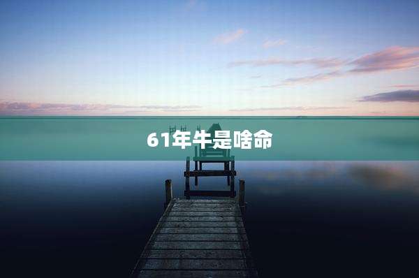 61年牛是啥命