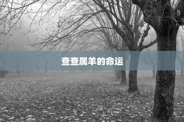 查查属羊的命运