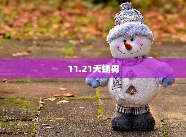 11.21天蝎男
