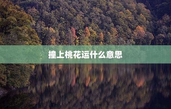 撞上桃花运什么意思