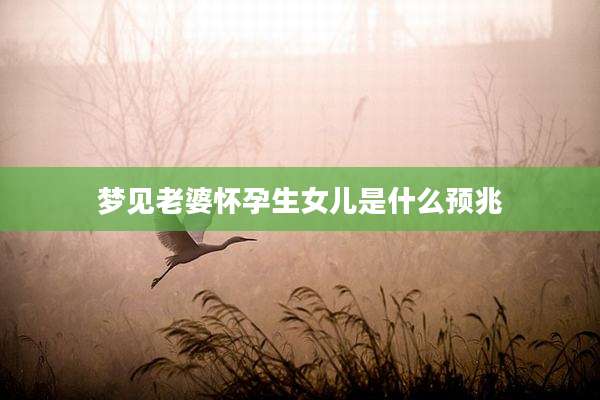 梦见老婆怀孕生女儿是什么预兆