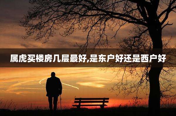 属虎买楼房几层最好,是东户好还是西户好