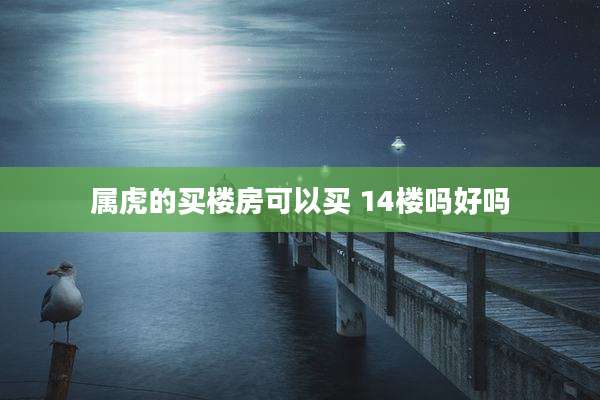 属虎的买楼房可以买 14楼吗好吗