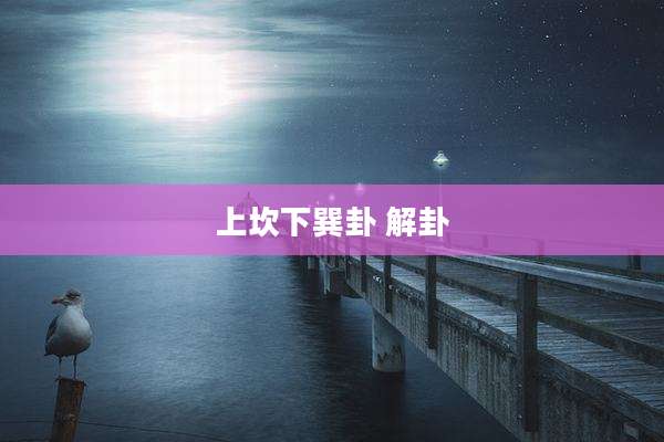 上坎下巽卦 解卦